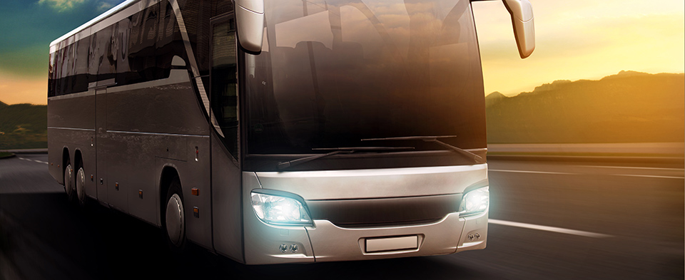 Banner Busse